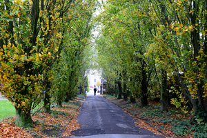 Oud KERKHOF-Blekerijstraat,Roeselare