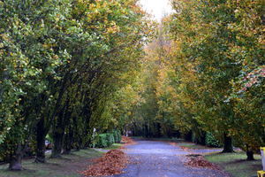 Oud KERKHOF-Blekerijstraat,Roeselare