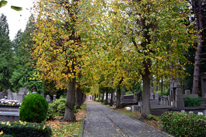 Oud KERKHOF-Blekerijstraat,Roeselare