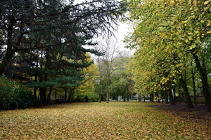 Oud KERKHOF-Blekerijstraat,Roeselare