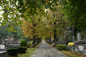 Oud KERKHOF-Blekerijstraat,Roeselare