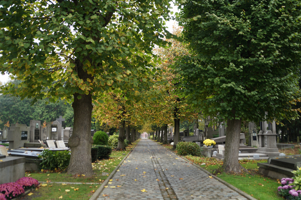 Oud KERKHOF-Blekerijstraat,Roeselare