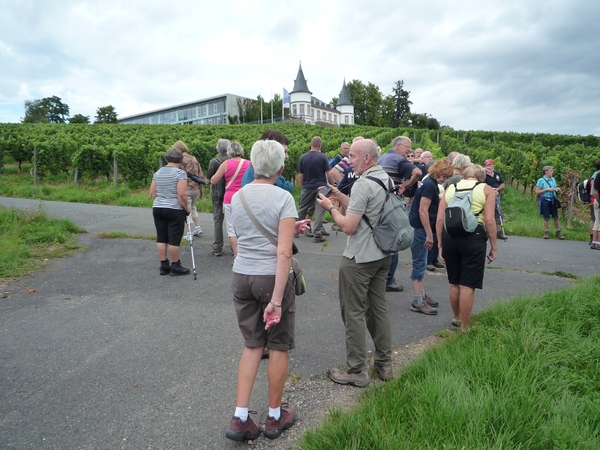 3 Rudesheim, wandeling naar Asbach _P1190943