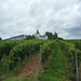 3 Rudesheim, wandeling naar Asbach _P1190944