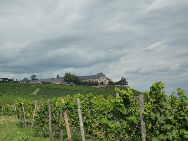 3 Rudesheim, wandeling naar Asbach _P1190949