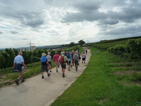 3 Rudesheim, wandeling naar Asbach _P1190951