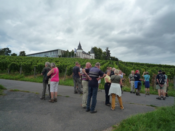 4 Rudesheim _P1190916