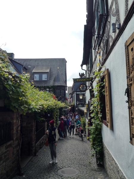 4 Rudesheim _P1190998