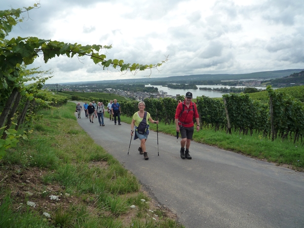 5 Rudesheim, wandeling Niederwald monument _P1190977