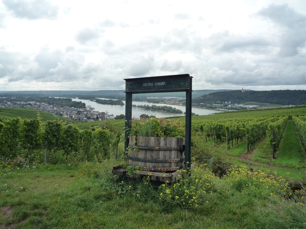 5 Rudesheim, wandeling Niederwald monument _P1190979