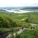 5 Rudesheim, wandeling Niederwald monument _P1190983