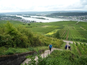 5 Rudesheim, wandeling Niederwald monument _P1190983