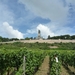 5 Rudesheim, wandeling Niederwald monument _P1190997