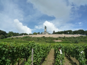 5 Rudesheim, wandeling Niederwald monument _P1190997