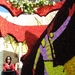 Bloemencorso Blankenberge 023