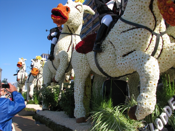 Bloemencorso Blankenberge 062