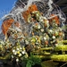 Bloemencorso Blankenberge 081