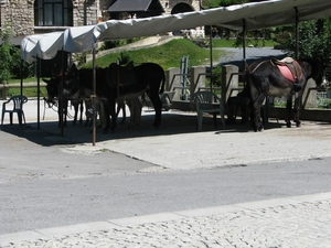 Lourdes 2013 149