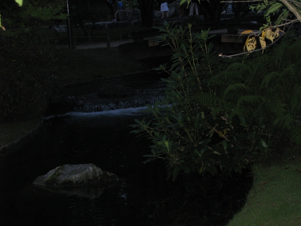 Nocturne Japanse tuin 002