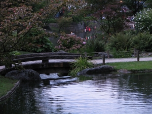 Nocturne Japanse tuin 005