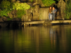 Nocturne Japanse tuin 020