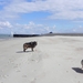 plaats genoeg op het strand