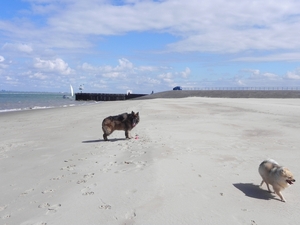 plaats genoeg op het strand