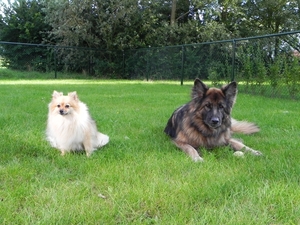 samen in de tuin