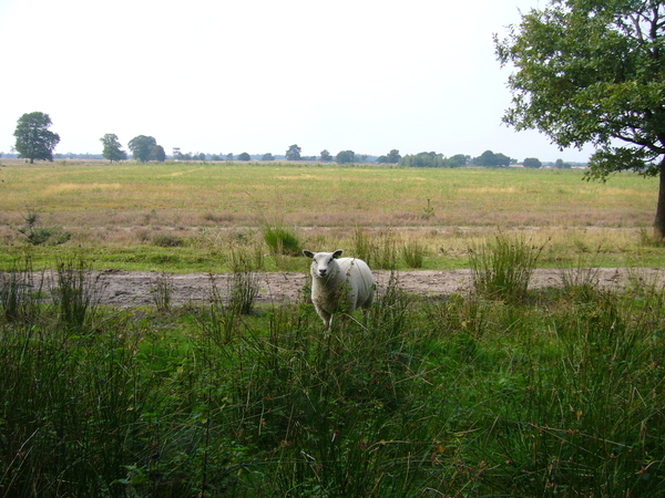 Drenthe