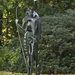Middelheimmuseum 026a