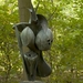 Middelheimmuseum 037a