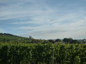 3 Rudesheim, wandeling naar Asbach _P1190922