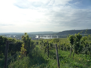 3 Rudesheim, wandeling naar Asbach _P1190923