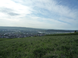 3 Rudesheim, wandeling naar Asbach _P1190927