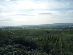 3 Rudesheim, wandeling naar Asbach _P1190933