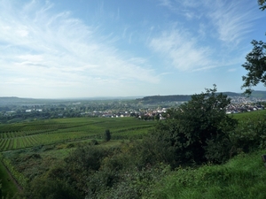 3 Rudesheim, wandeling naar Asbach _P1190934