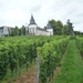 3 Rudesheim, wandeling naar Asbach _P1190945