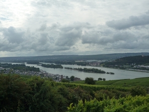 5 Rudesheim, wandeling Niederwald monument _P1190982