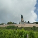 5 Rudesheim, wandeling Niederwald monument _P1190996