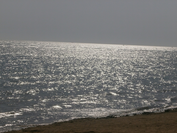 P8300019