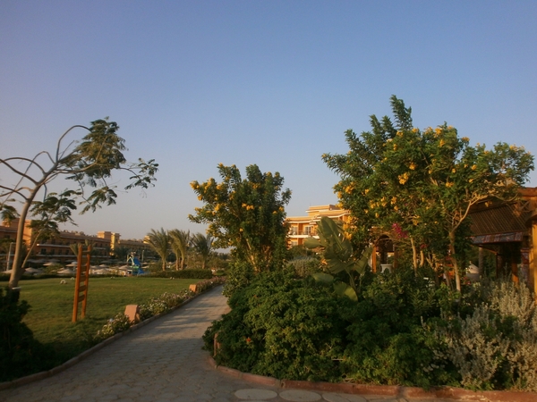 P8310041