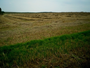 ook wat stofferig streusel