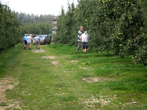 easteuropeen fruitpickers