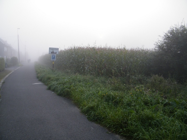 kwaktocht wsv de vossen buggenhout