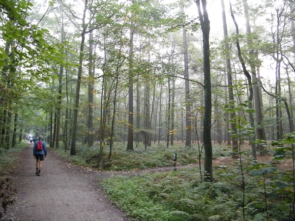 kwaktocht wsv de vossen buggenhout