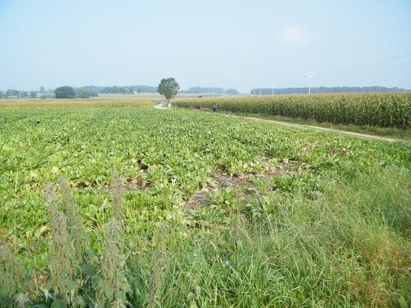 kwaktocht wsv de vossen buggenhout