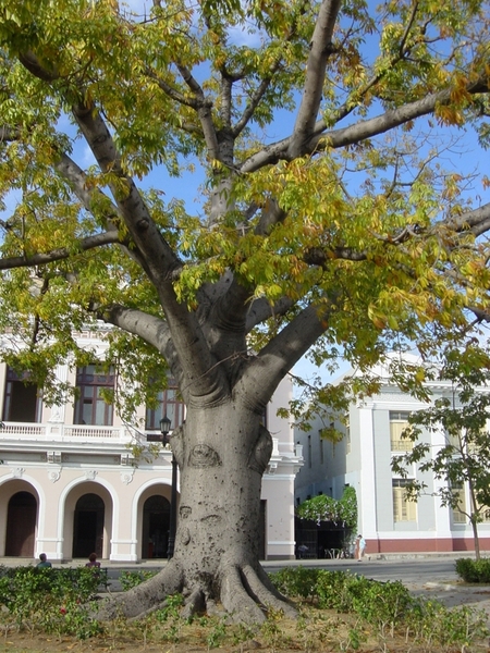 Cienfuegos park