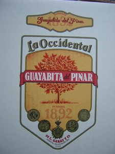 Guyabita