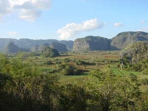 Viales