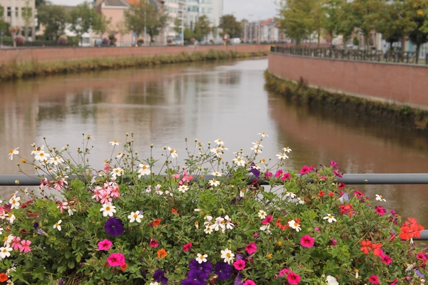 Trappen en happen (55 km) 31 augustus 2014 008